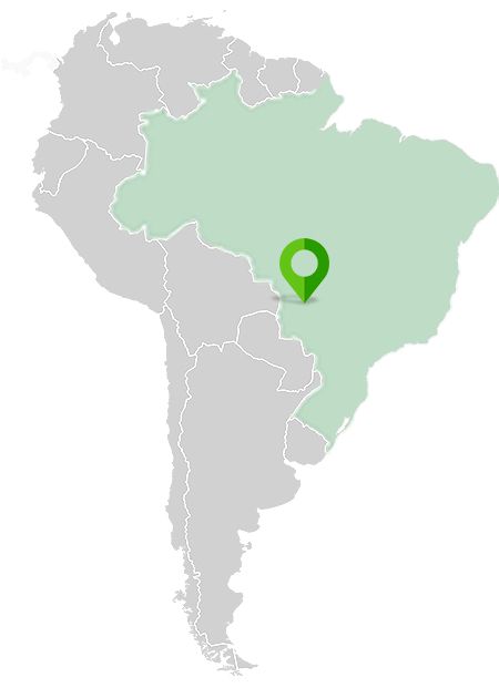 The Pantanal
