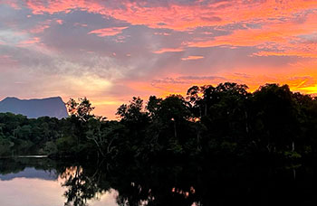 Vom Orinoco zum Amazonas